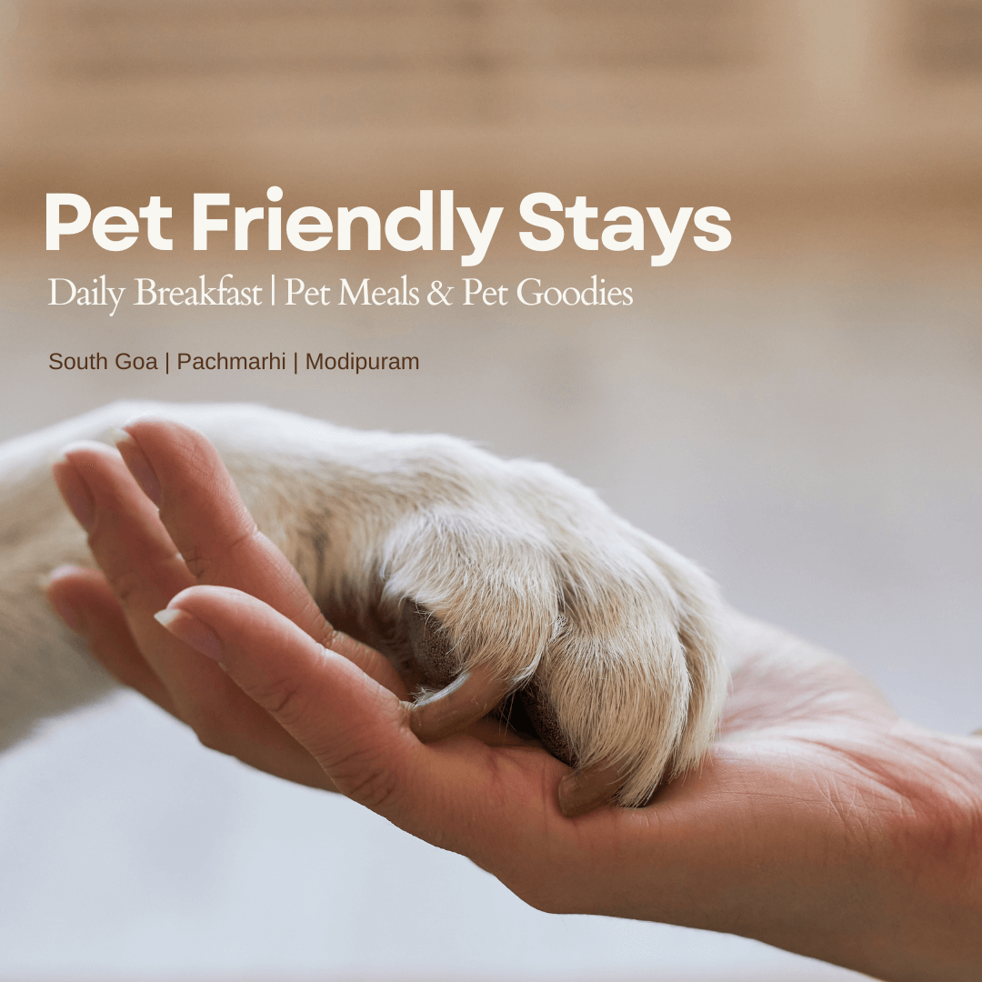 Pet Friendly Stays