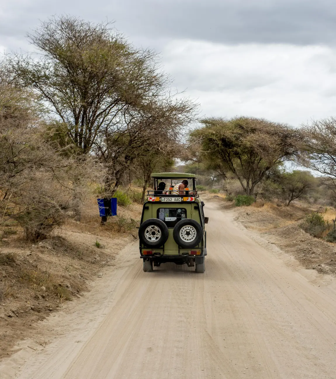 Dawn Safari & Bird Watching