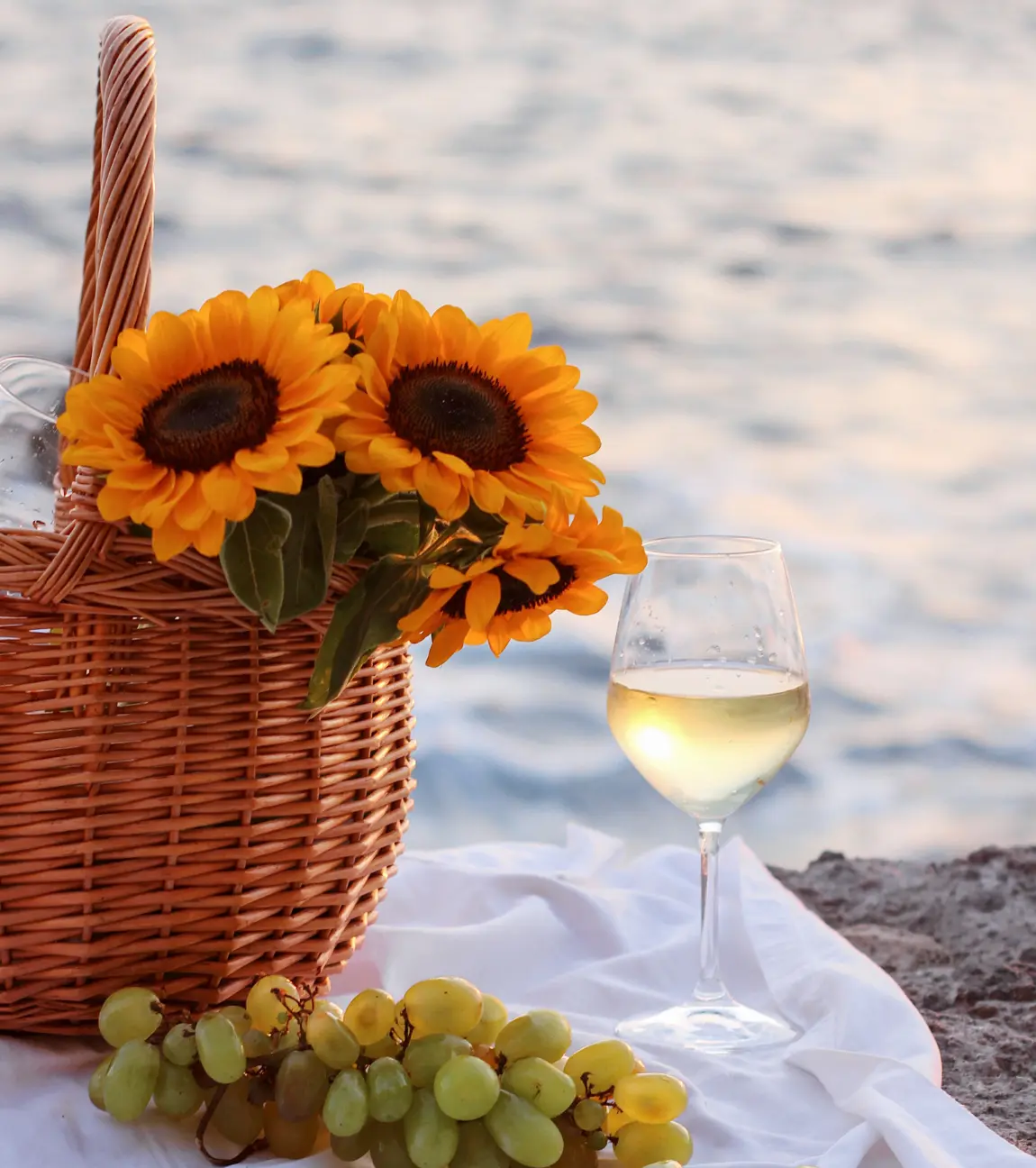 Day Beach Picnic