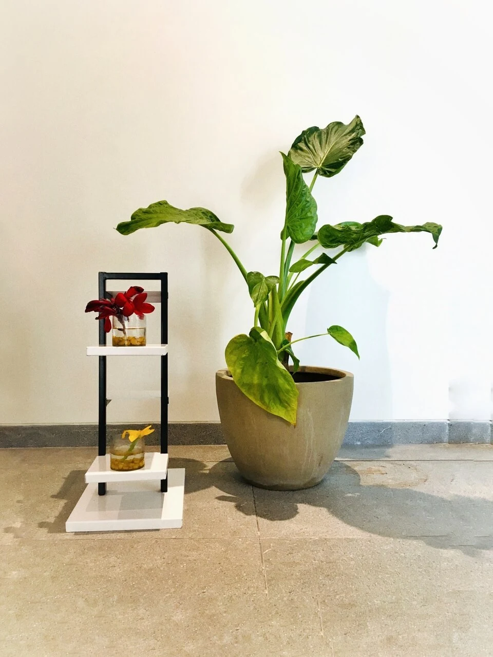 resort gallery